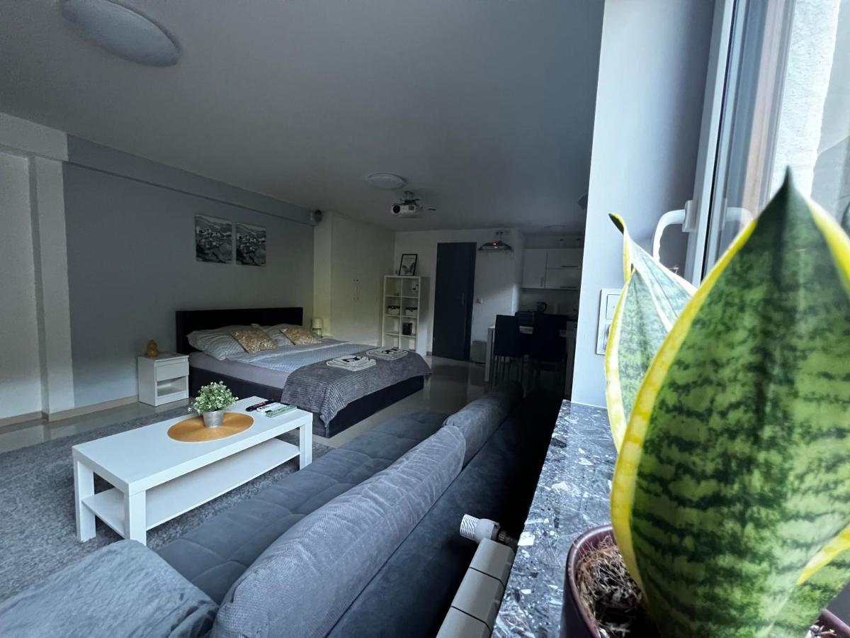 Apartament Play Pietrzykowice  Zewnętrze zdjęcie